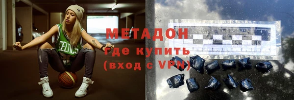 индика Тавда