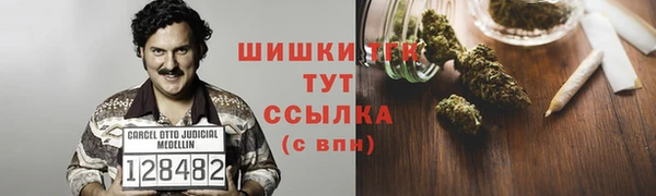 индика Тавда