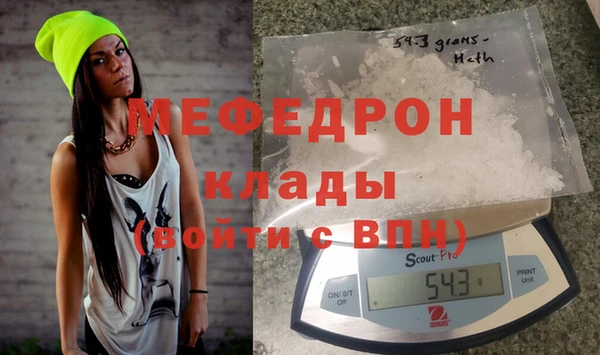 индика Тавда