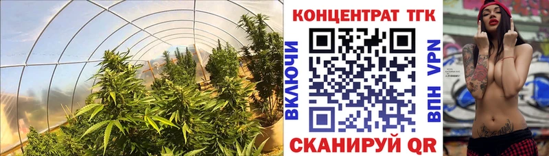 ТГК гашишное масло  Бугуруслан 