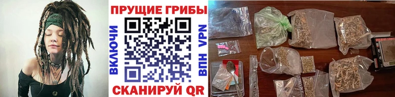Псилоцибиновые грибы Psilocybine cubensis где купить наркотик Бугуруслан